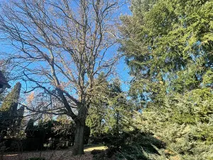 Pronájem rodinného domu, Zvole, 865 m2