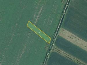 Prodej pole, Nesvačilka, 19558 m2