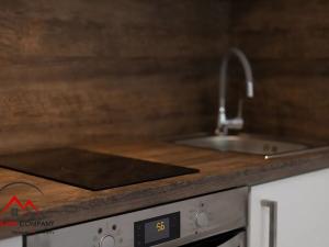 Pronájem bytu 1+kk, Ostrava, Palackého, 30 m2