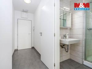 Pronájem bytu 1+kk, Praha - Holešovice, V závětří, 27 m2