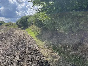 Prodej louky, Praha - Královice, 698 m2