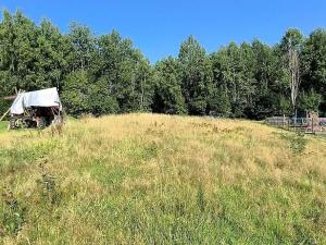 Prodej pozemku pro bydlení, Pomezí nad Ohří, 1343 m2