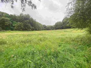 Prodej pole, Úterý - Vidžín, 11289 m2