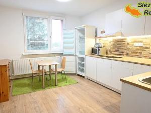 Pronájem bytu 1+1, Paskov, Papírenská, 44 m2