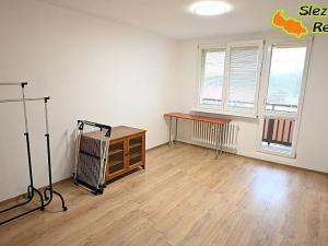 Pronájem bytu 1+1, Paskov, Papírenská, 44 m2