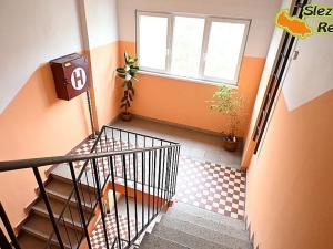 Pronájem bytu 1+1, Paskov, Papírenská, 44 m2