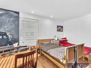 Prodej rodinného domu, Hradec Králové, U Jednoty, 300 m2