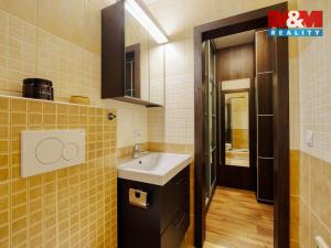 Pronájem bytu 2+kk, Železná Ruda - Alžbětín, 53 m2