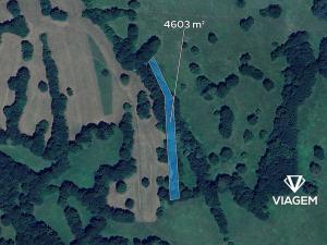 Prodej podílu pole, Javorník, 592 m2