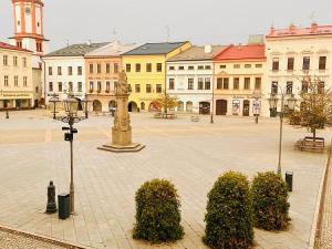 Pronájem bytu 2+1, Frýdek-Místek - Místek, náměstí Svobody, 87 m2