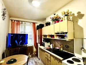 Prodej bytu 1+1, Most, tř. Budovatelů, 41 m2