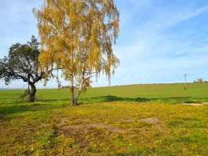 Prodej pozemku pro bydlení, Boseň, 2051 m2