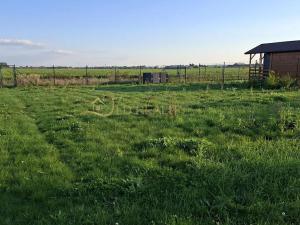 Prodej zahrady, Hněvotín, 507 m2