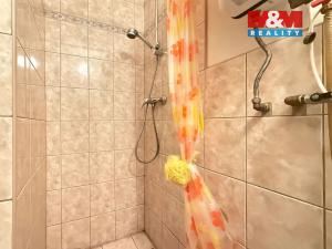 Prodej chaty, Hronov - Velký Dřevíč, 28 m2