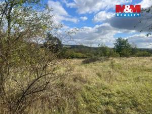 Prodej zahrady, Lešany, 5897 m2