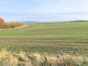 Prodej pole, Cheb, Nižnětagilská, 17000 m2