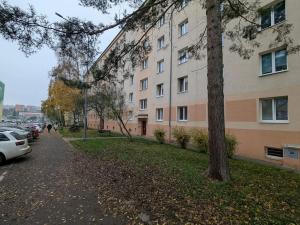 Prodej bytu 2+1, Most, Maxe Švabinského, 54 m2