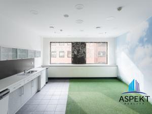 Pronájem kanceláře, Praha - Chodov, Líbalova, 18 m2