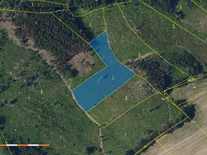 Prodej lesa, Česká Bělá, 6755 m2