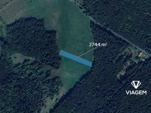 Prodej podílu pole, Branov, 1372 m2