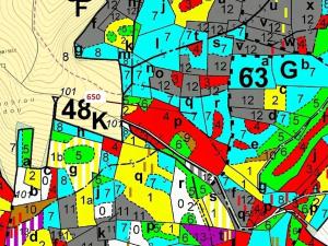 Dražba lesa, Kuřimany, 3688 m2