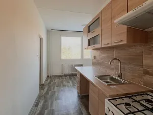 Pronájem bytu 2+1, Chomutov, Březenecká, 63 m2