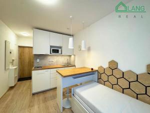 Pronájem bytu 1+kk, Brno, Francouzská, 18 m2