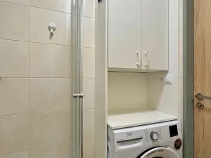 Pronájem bytu 1+kk, Brno, Francouzská, 18 m2