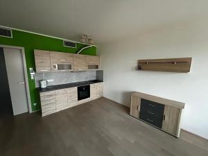 Pronájem bytu 1+kk, Praha - Žižkov, Olšanská, 36 m2
