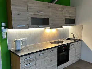 Pronájem bytu 1+kk, Praha - Žižkov, Olšanská, 36 m2