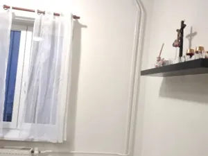 Prodej bytu 1+1, Plzeň, Tělocvičná, 47 m2