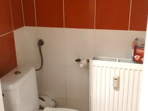 Prodej bytu 1+1, Plzeň, Tělocvičná, 47 m2