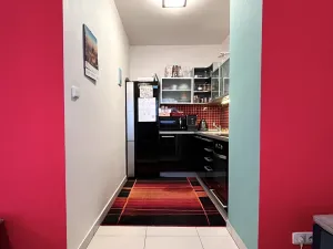 Pronájem bytu 1+kk, Brno, Dusíkova, 40 m2