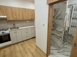 Pronájem bytu 1+1, Prostějov, 35 m2