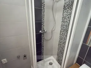 Pronájem bytu 2+1, Kladno, Zd. Petříka, 51 m2