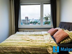 Prodej bytu 3+1, Praha - Stodůlky, Janského, 75 m2