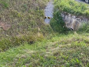 Prodej pozemku pro bydlení, Albrechtice nad Vltavou, 5665 m2