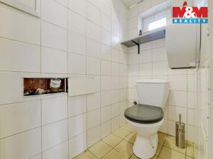 Pronájem obchodního prostoru, Cheb, U Hilarie, 55 m2