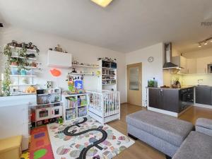 Pronájem bytu 2+kk, Brno, Bučkova, 49 m2