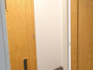 Pronájem bytu 1+kk, Ostrava - Krásné Pole, Družební, 30 m2