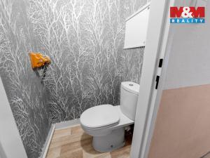 Prodej bytu 3+1, Děčín - Děčín I-Děčín, Hálkova, 79 m2