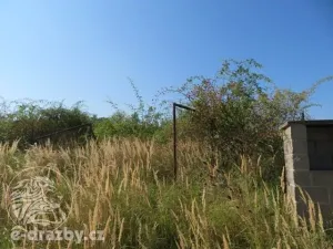 Dražba zahrady, Grunta, 927 m2