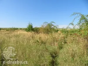 Dražba zahrady, Grunta, 901 m2