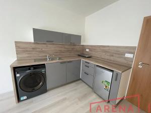 Pronájem bytu 1+kk, Brno, Dornych, 28 m2