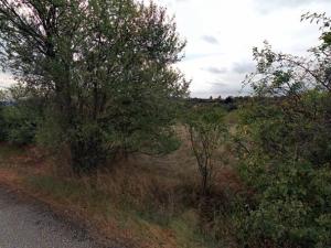 Pronájem zahrady, Dolní Kounice, 1406 m2