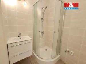 Pronájem bytu 1+1, Ostrov, Odborů, 33 m2