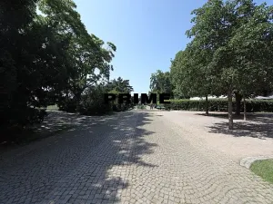 Pronájem bytu 3+1, Praha - Vinohrady, Polská, 105 m2