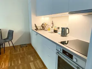 Pronájem bytu 2+kk, Praha - Libeň, Pod Čertovou skalou, 38 m2