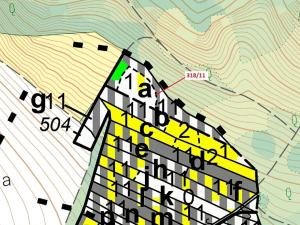 Dražba lesa, Lesní Hluboké, 3838 m2