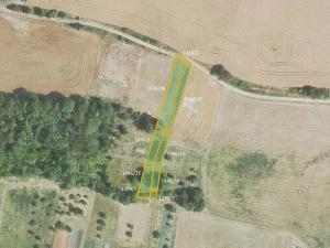 Prodej pole, Třtice, 8121 m2